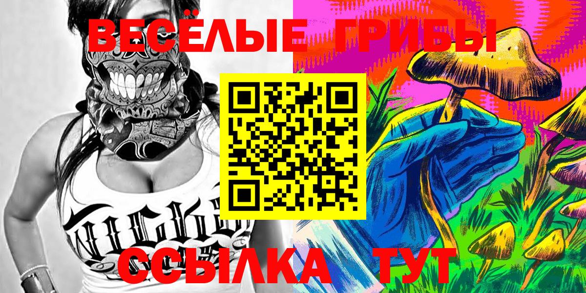 Бирск  купить наркотик  Вход с VPN  Псилоцибиновые грибы мухоморы 