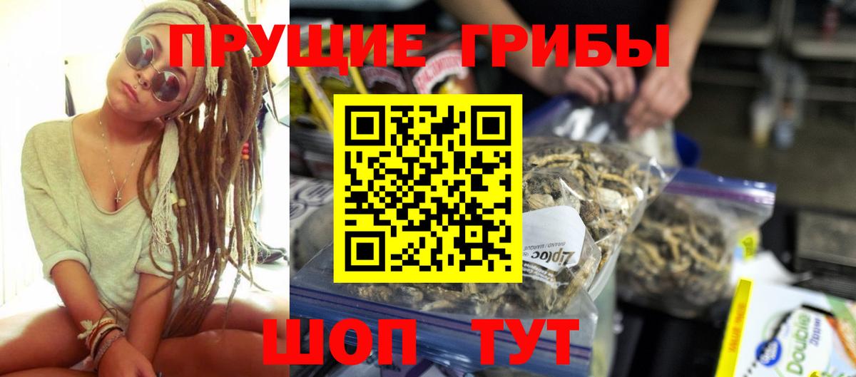 Галлюциногенные грибы Psilocybe Бирск
